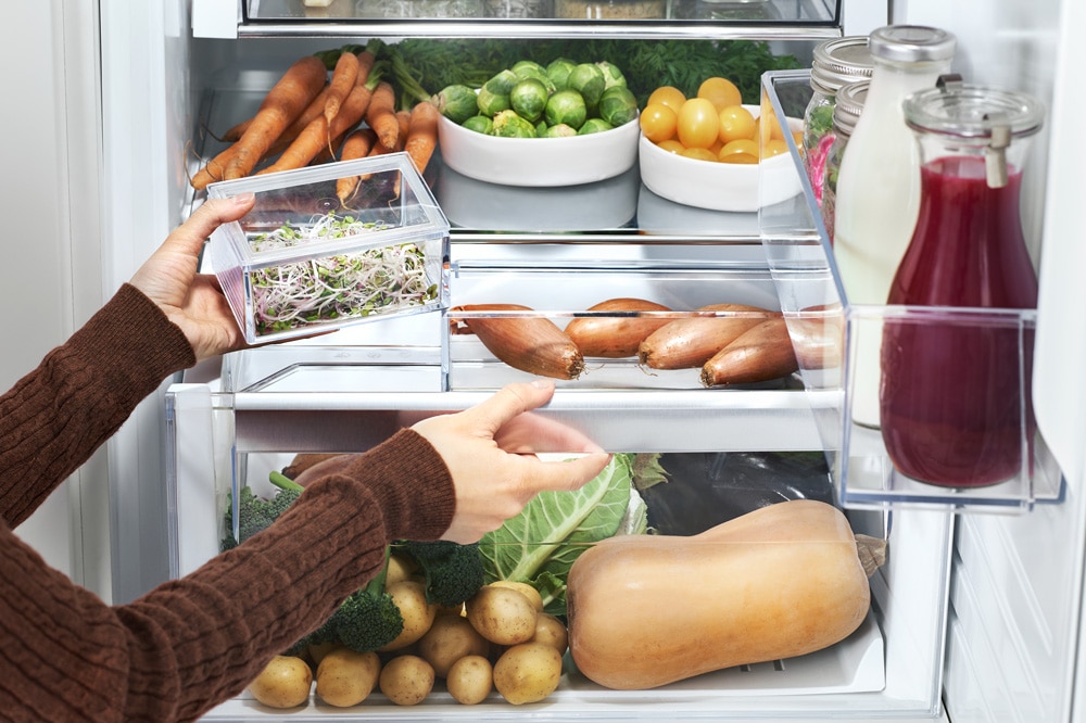 What features to look for in a refrigerator 