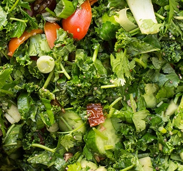 Kale and pecan salad